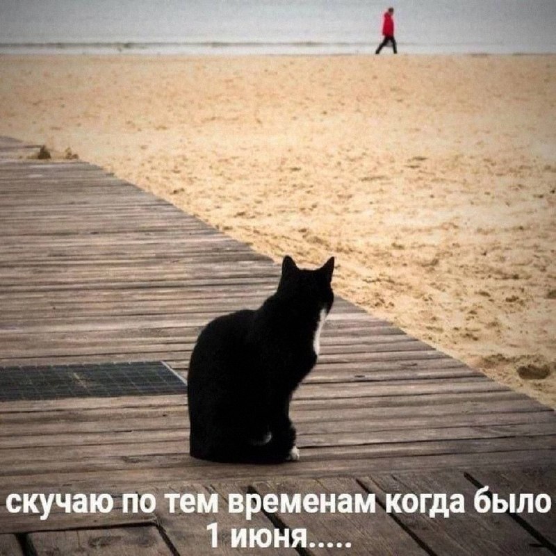 Утренняя подборочка