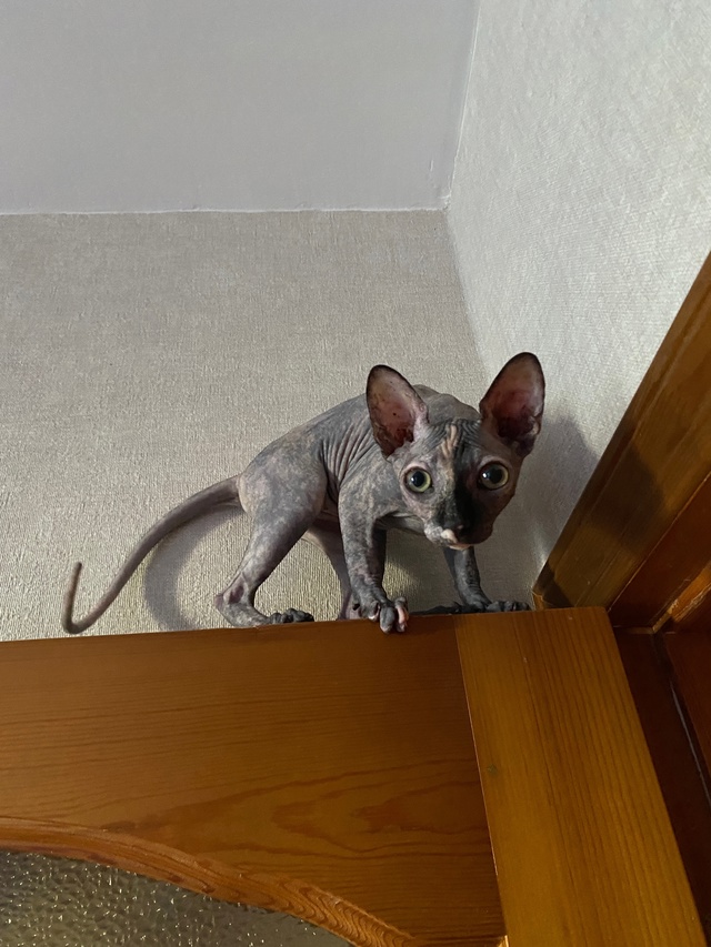 Джульке годик! ?
p.s. Последнее фото сделано в первый д?...