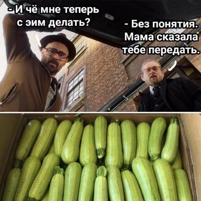 Пришло время делиться рецептами блюд из кабачка