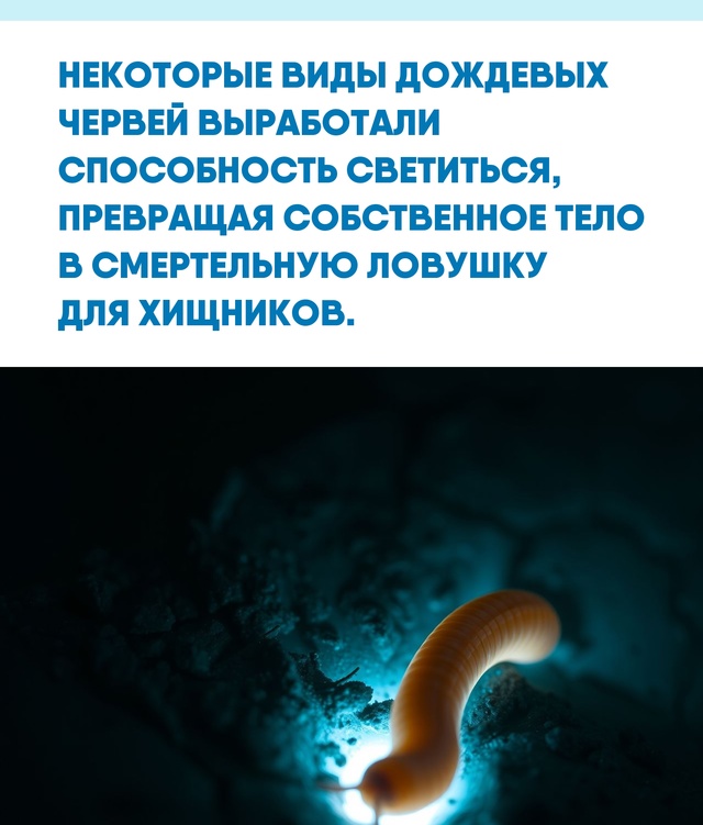 Мир под нашими ногами хранит множество удивительных а?...