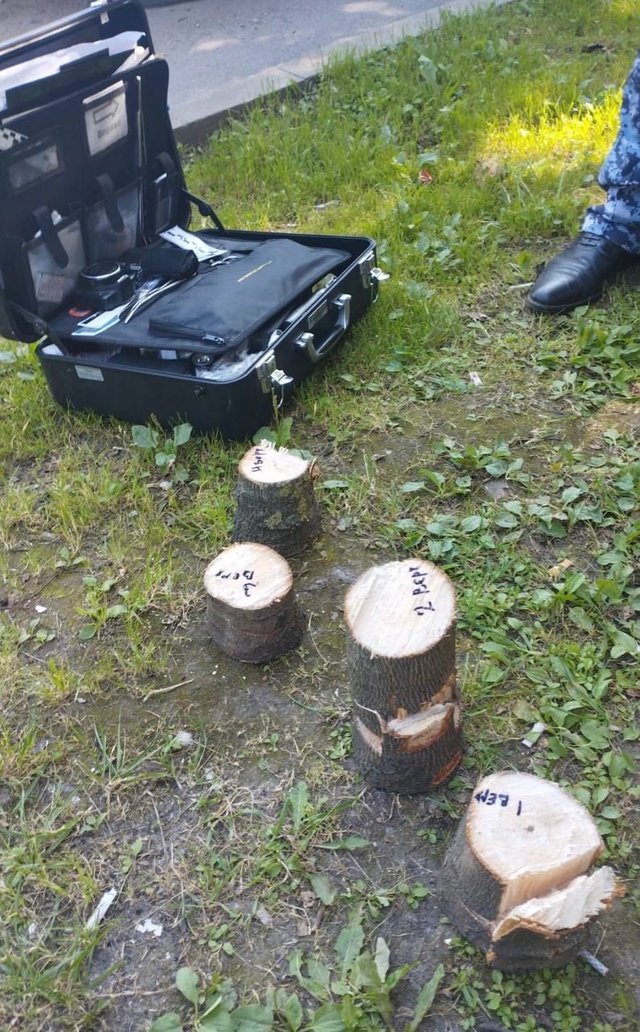 👉В Смоленске зафиксирован новый вид вандализма
🌳Г?...