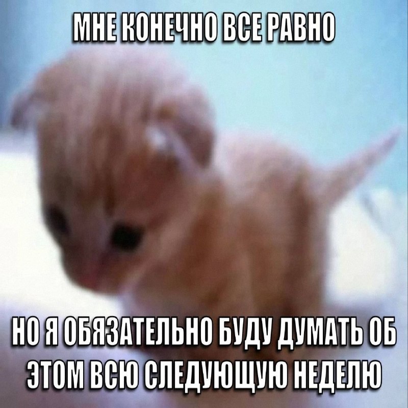Утренняя подборочка
