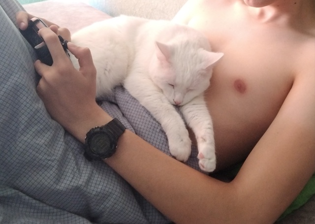 Симба очень любит спать на ручках