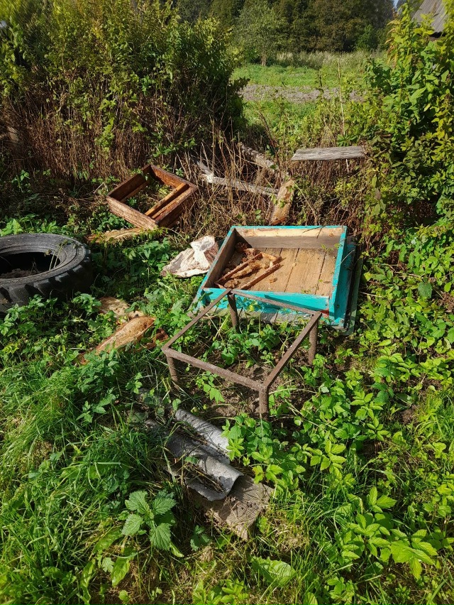 Что делать если медведи напали на пасеку ? Куда обращат...