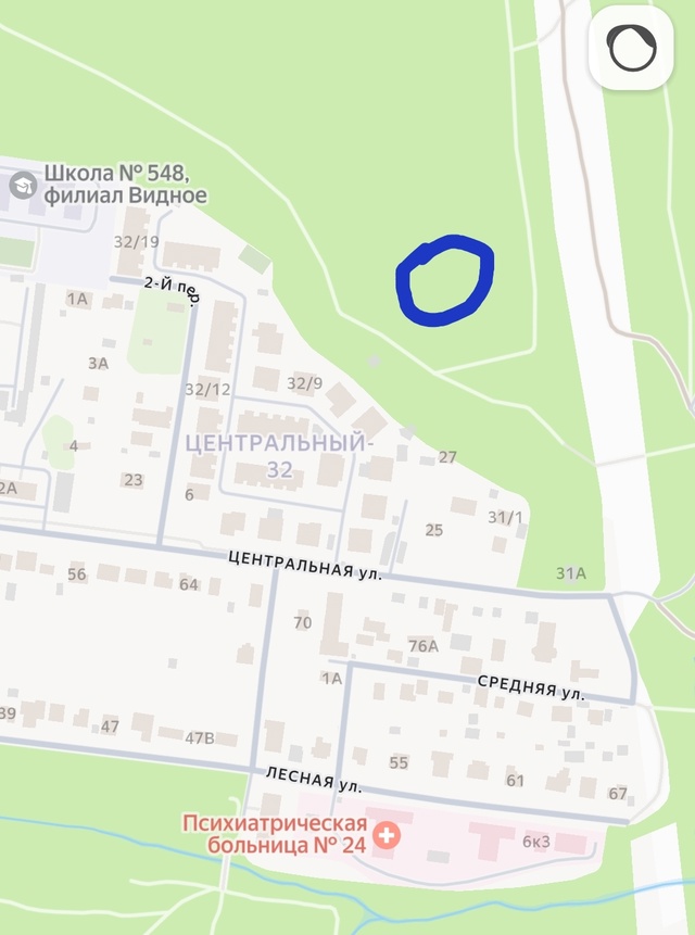 В лесу, сзади микрорайона 