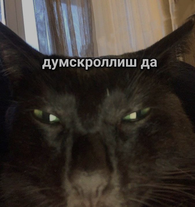 Ночная подборочка
Спать, режим