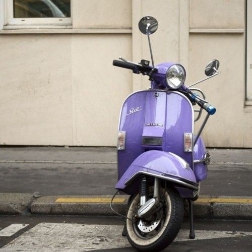 С приходом весны наша жизнь расцветает, будто начинает...