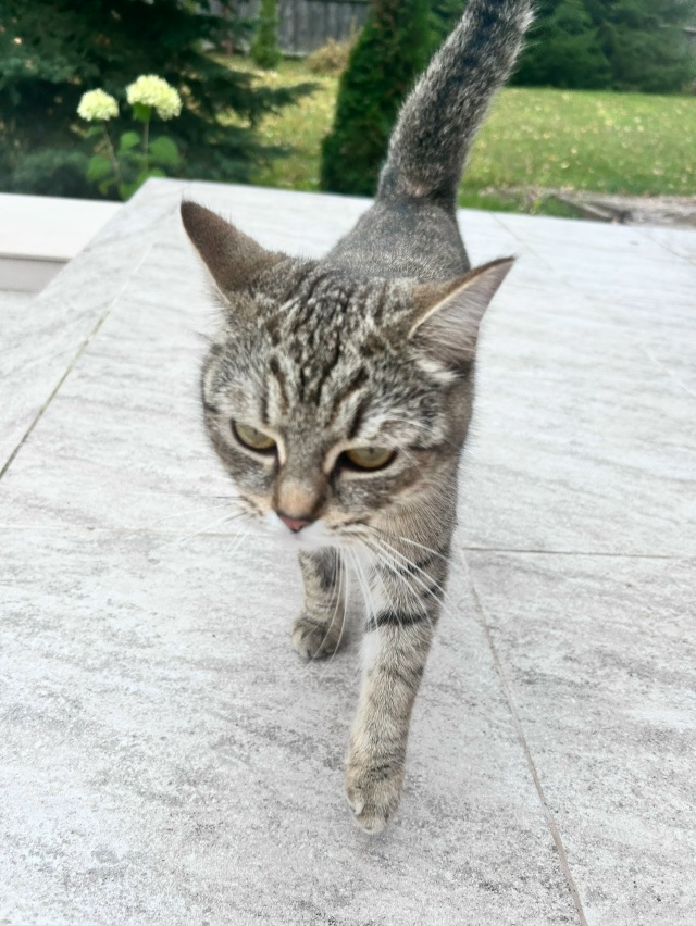 Кто потерял? Село Ильинское