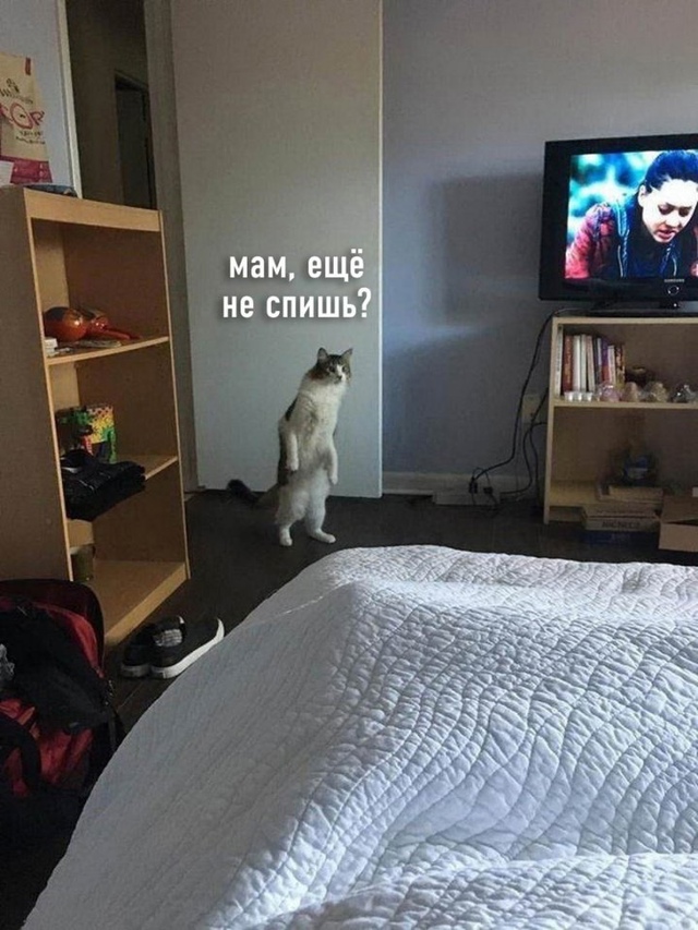 Все мамы поймут боль этой ситуации😂