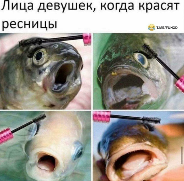 Или мyжики кoгдa бреютcя🤣
