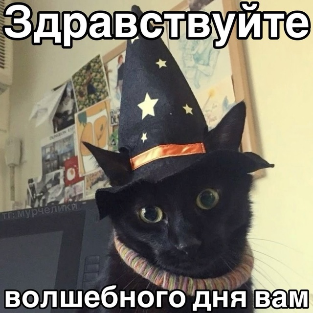 Волшебного дня вам ✨