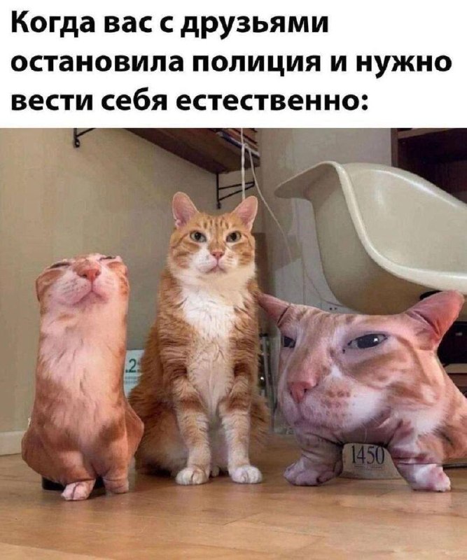 Утренняя подборочка