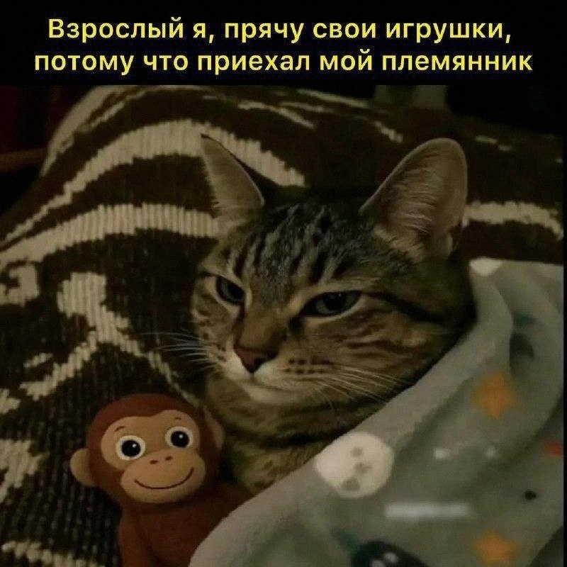 Утренняя подборочка