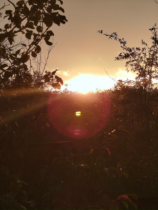 Закат сегодня...