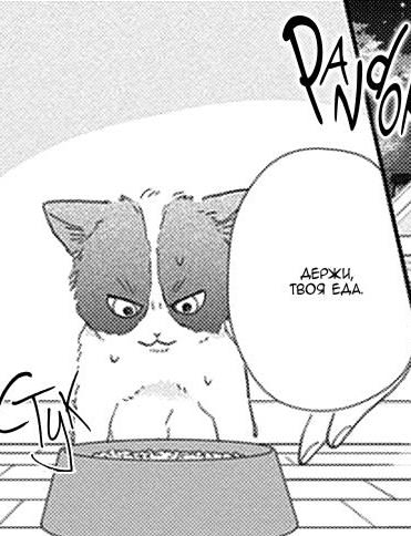 #status_manga@mangaotaku
Манга Мы нашли страну чудес