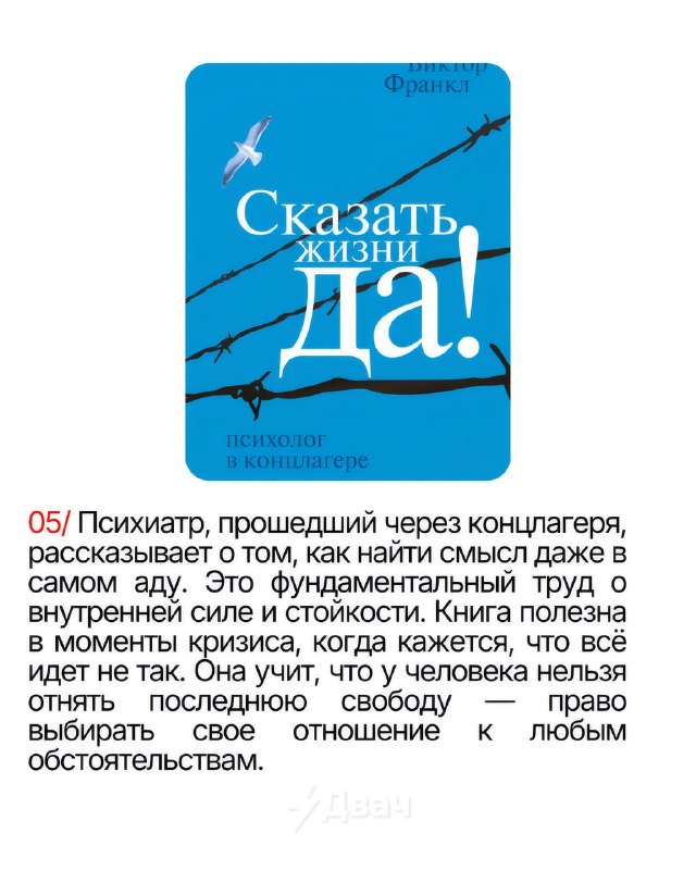 Подъехали 6 мощных книг, которые буквально изменят ваше сознание — они научат мыслить ясно, чётко и