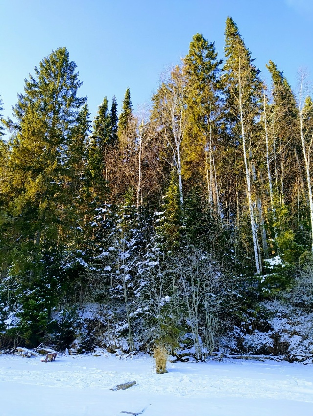 Пермский край
Автор фото Татьяна Шмонова