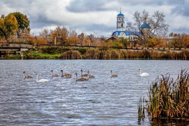 Осенняя красота пруда (с.Орда) ???