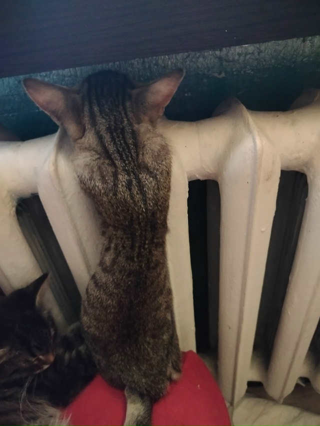 Как можно так спать? Яслик.