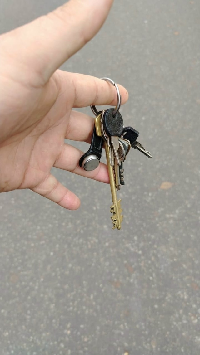 Фото 1. Чьи потеряшки? Вторую неделю ждут хозяев на Энту...