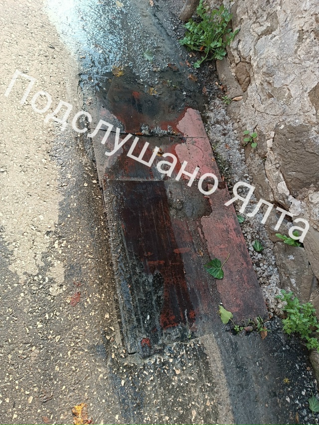 🆘‼️Помогите! Утопаем в нечистотах!
На улице Н.Лисано?...