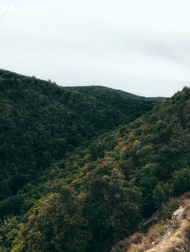 Гора Верблюд в Самарской области ❤️