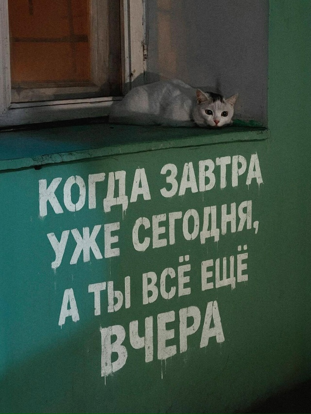 Пересылайте посты близким, ставьте реакции - это лучша?...