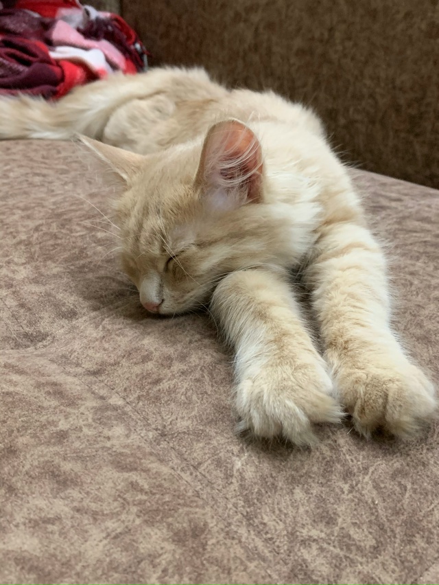 Моменты
Взросления Томасика