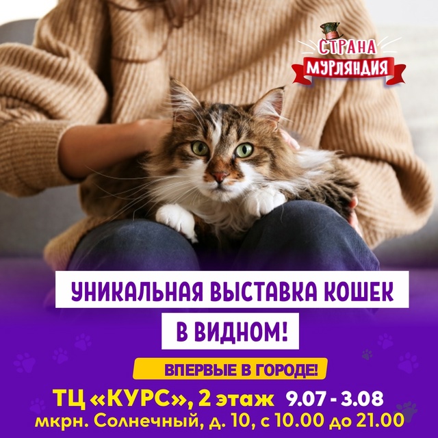 Видное ! С 9 июля по 3 августа ! Котопространство «Страна...