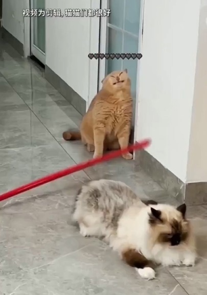 С ними не соскучишься!)