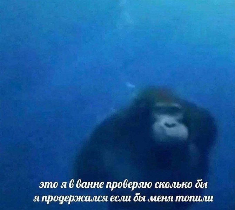 базовая настройка