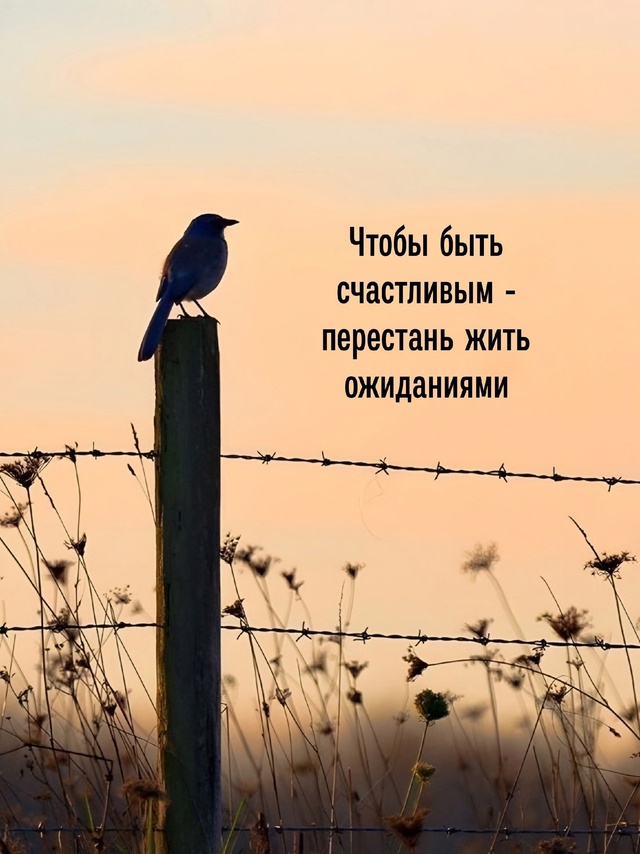 Я бы сказала, очень полезные правила!