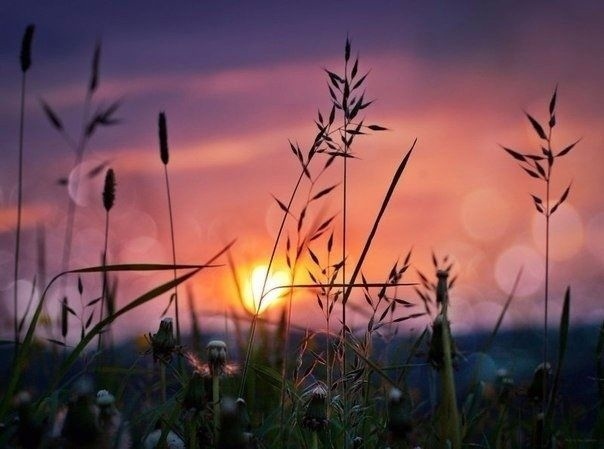 Грусть — это временное отсутствие радости. Из-за устал...