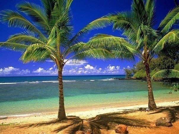 Карибские острова.