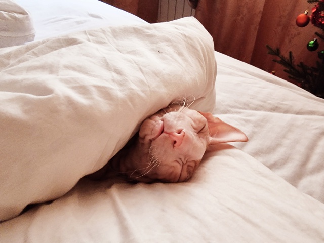 Всем привет! Мы тут новенькие, хотя и давно следим )
Зна?...