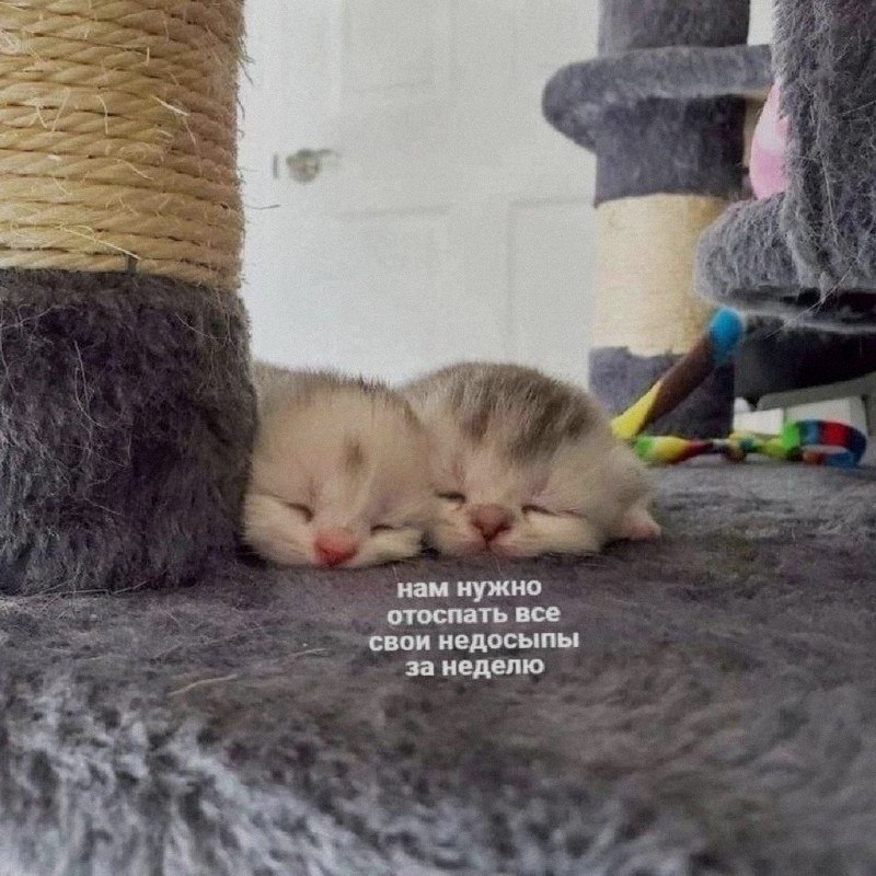 Ночная подборочка
Выходные, не спим