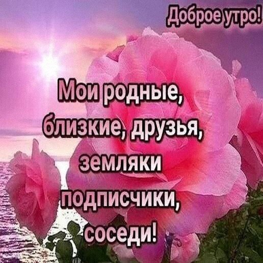 Утренняя подборочка