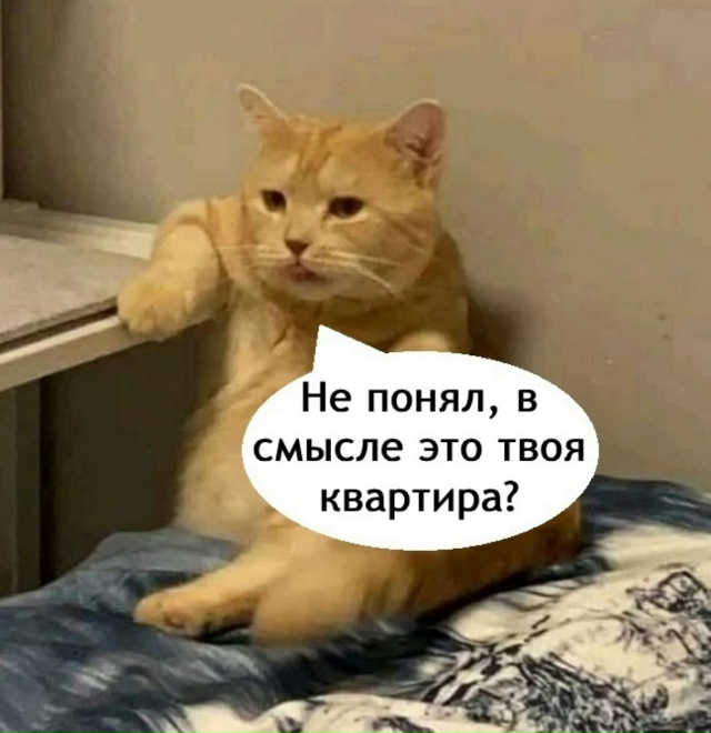 Продолжайте думать, что это ваша квартира