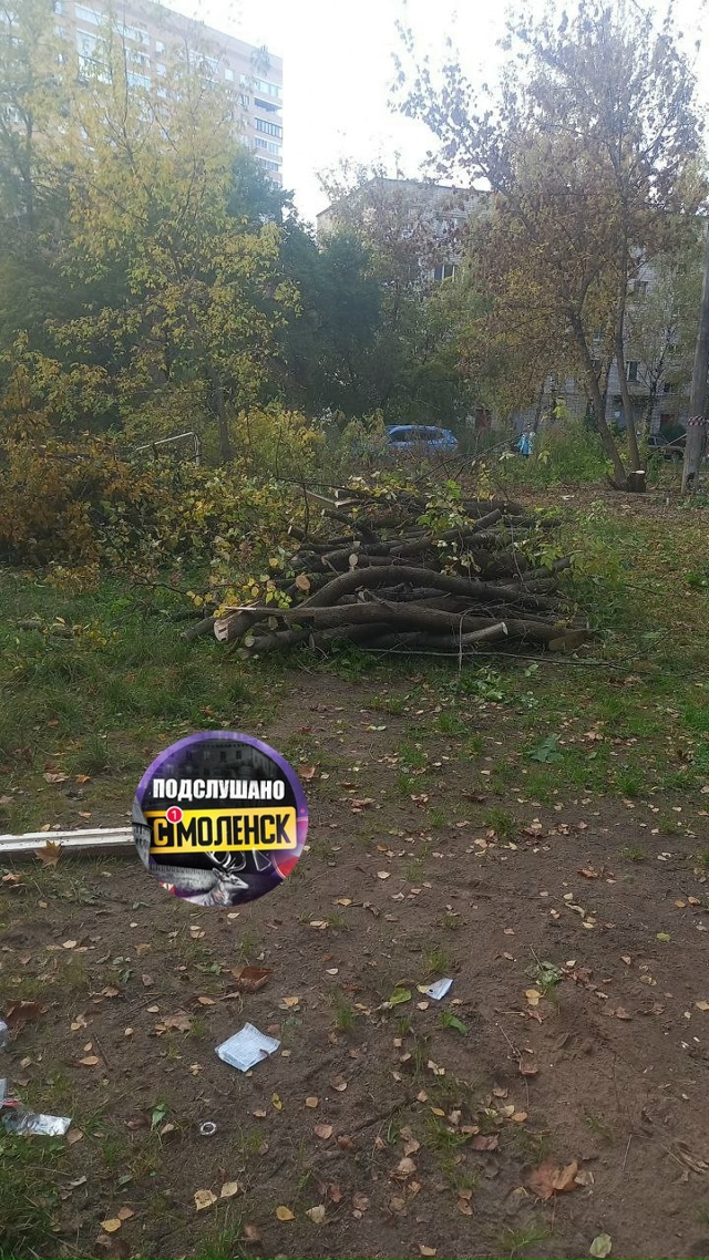 И снова вырубка деревьев. Около дома 20 по улице Николае...