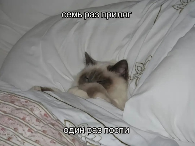 Мудрая порция советов