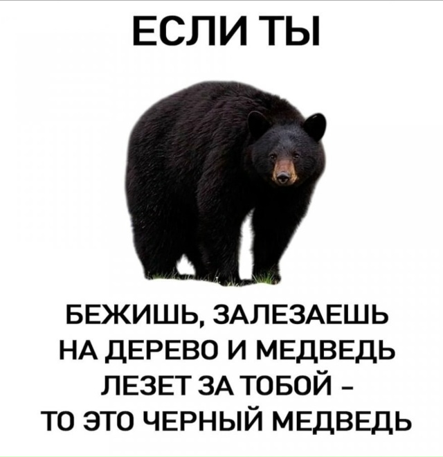 Запоминаем короче