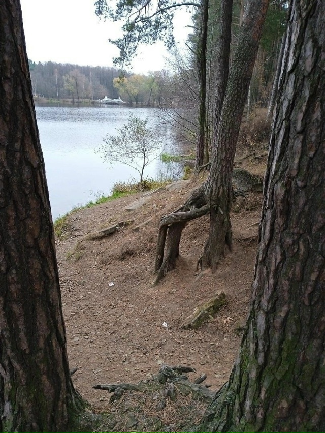 Кратово - это место, где вы можете встретить настоящую ?...