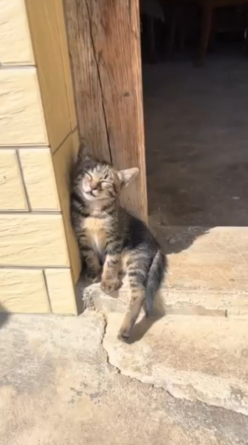 А говорил, что просто кофе попьют