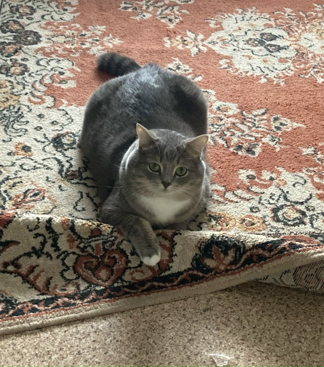 Я голоден только тогда, когда я голоден, а когда я не го?...