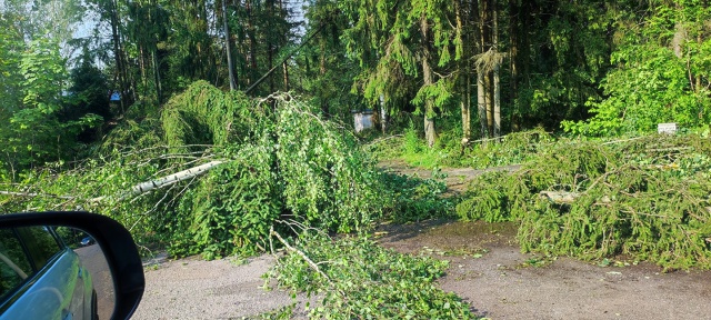 Ситуация на территории больничного городка