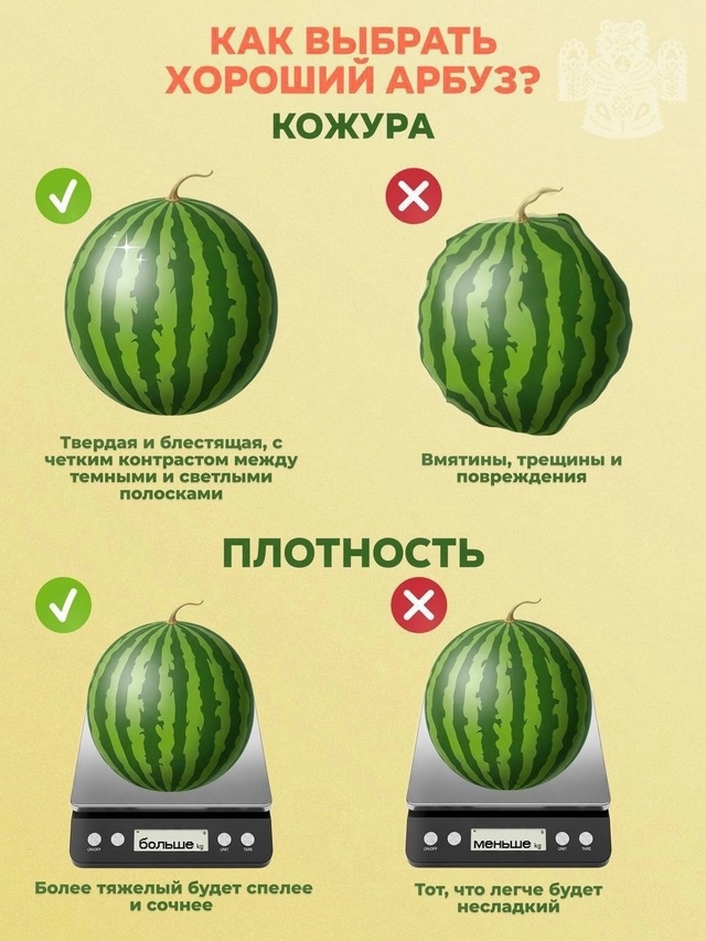 🍉 Официально начался сезон арбузов