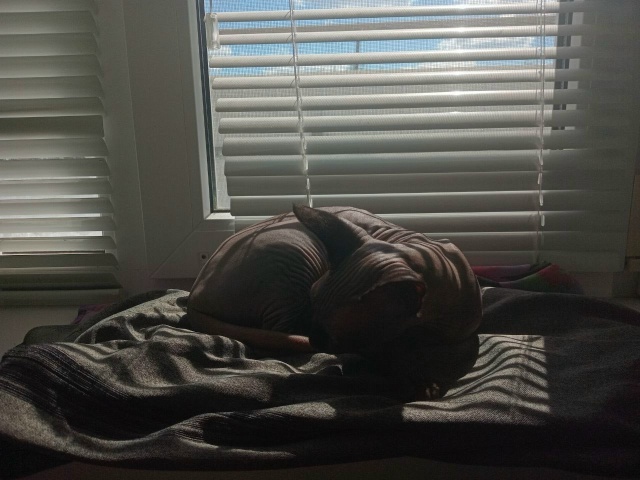 Майа или Майка - футболка