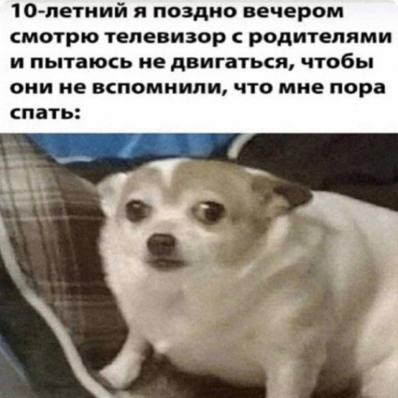 Утренняя подборочка