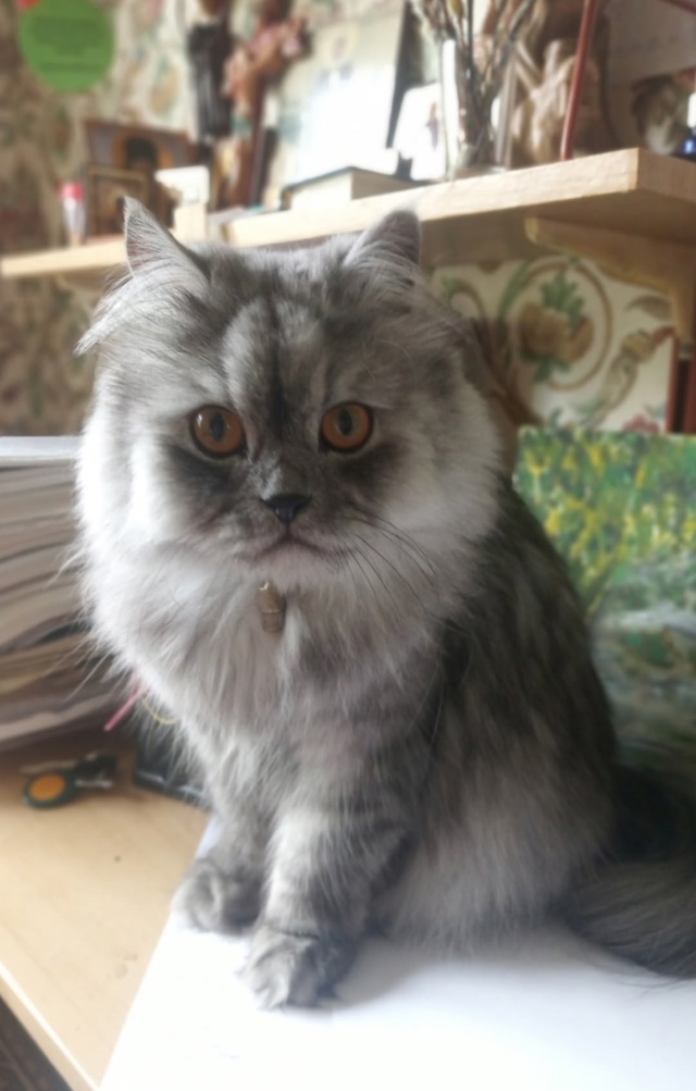 Максик
