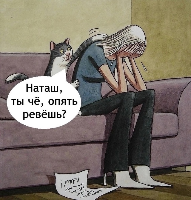 Мудрый котик)